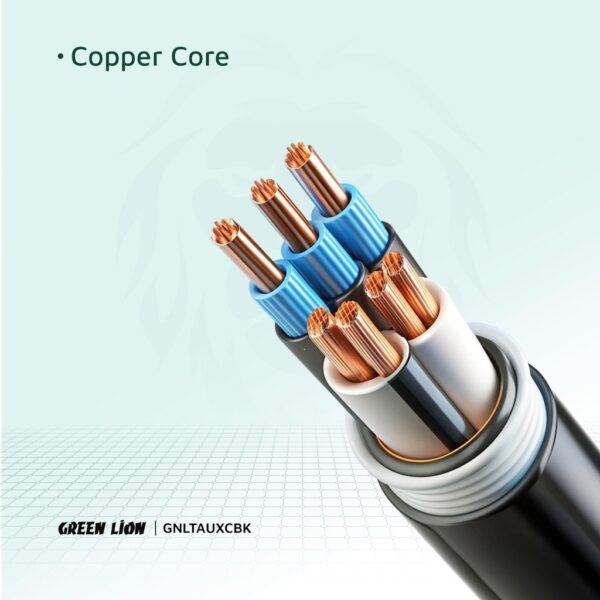 Green Lion Lightning to AUX Braided Cable 1M - Black - Image 5